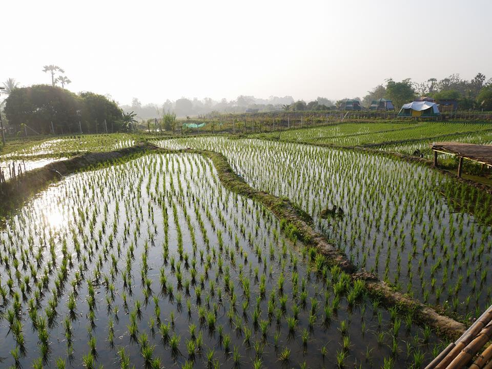 Nok Chan Mee Na Chom Thong Ngoại thất bức ảnh